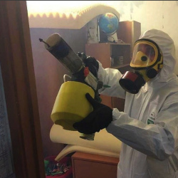 Уничтожение клопов в квартире. Устюжна